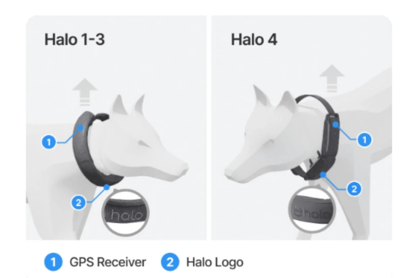 Halo Collar Placement