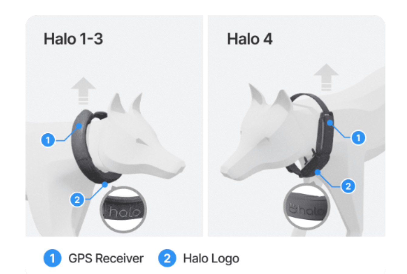Halo Collar Placement