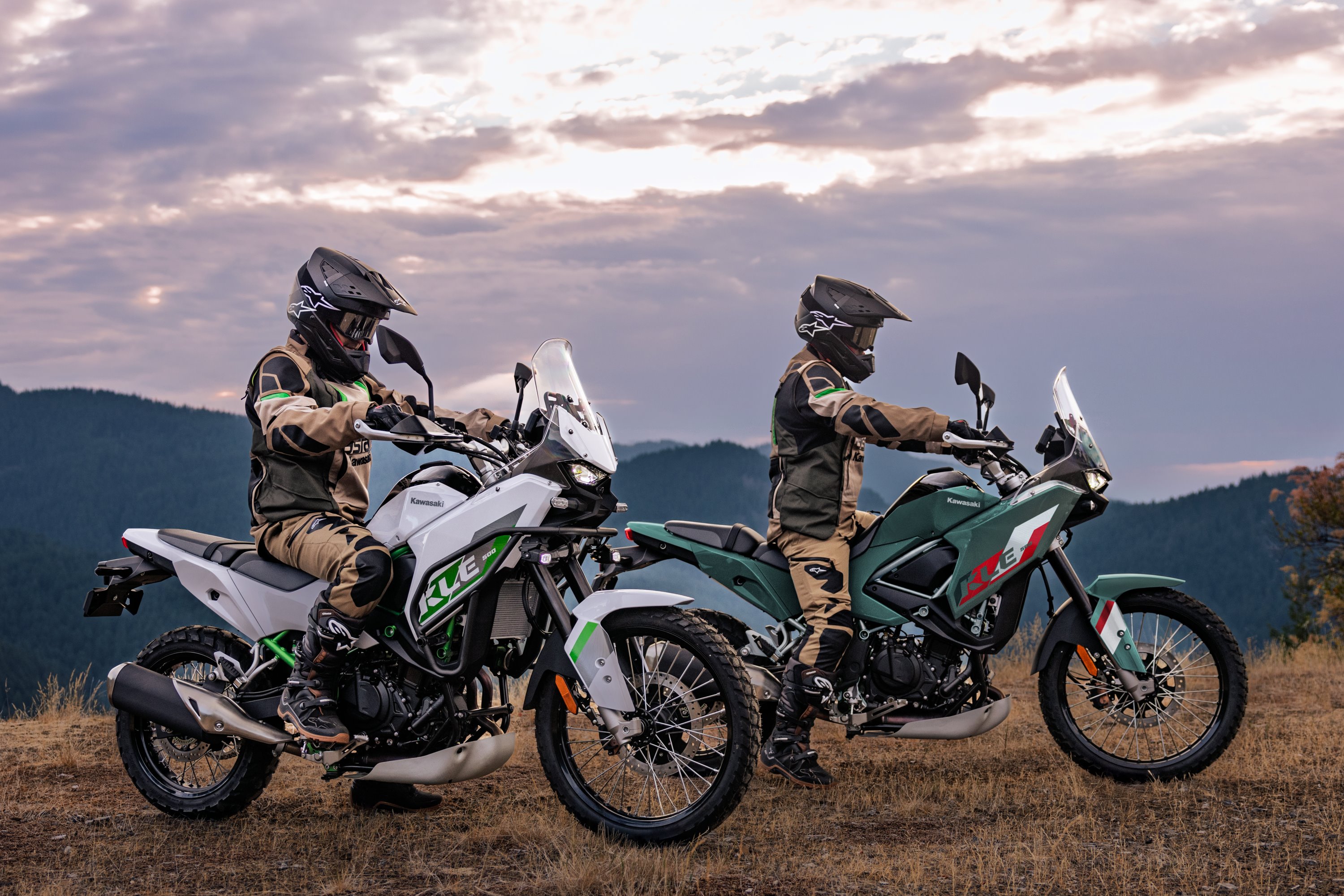 2026 Kawasaki KLE500