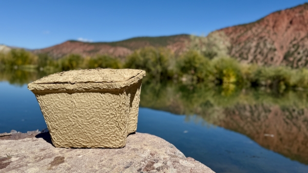 Igloo Recool Review: A $10 Biodegradable Cooler Worth Trusting