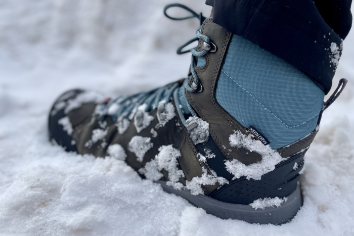 Keen IV Polar