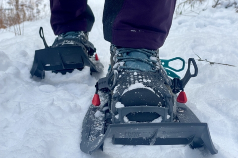 Best Boots Shoes To Wear Snowshoeing Outfits What Type Of Shoes To