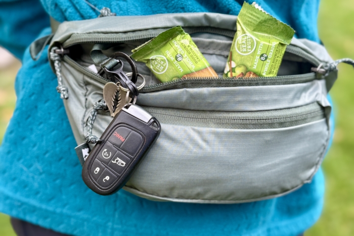 REI Co-op Trail 2 Waist Pack