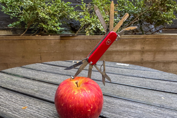 The Victorinox Mini Champ is diminutive, but not undergunned for your everyday carry; (photo/Matt Jancer)