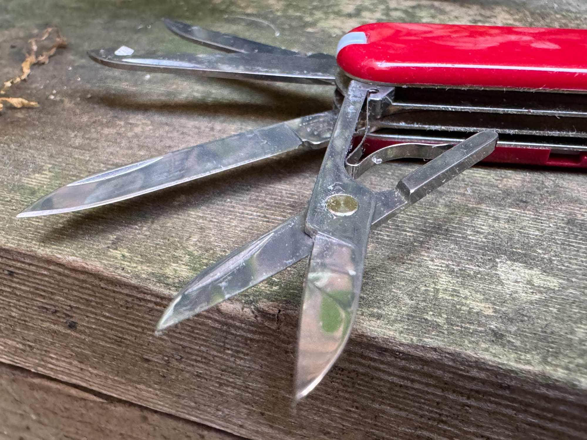 the mini champ on a wooden surface outside, detailing the scissors and knife blade