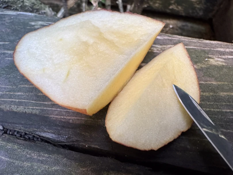 the blade of the mini champ tool being used to slice an apple on a picnic bench