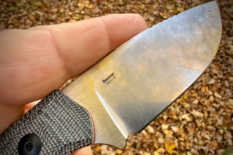 Close-up of the Kizer Beaver Knife blade marked “Beaver Nitro-V