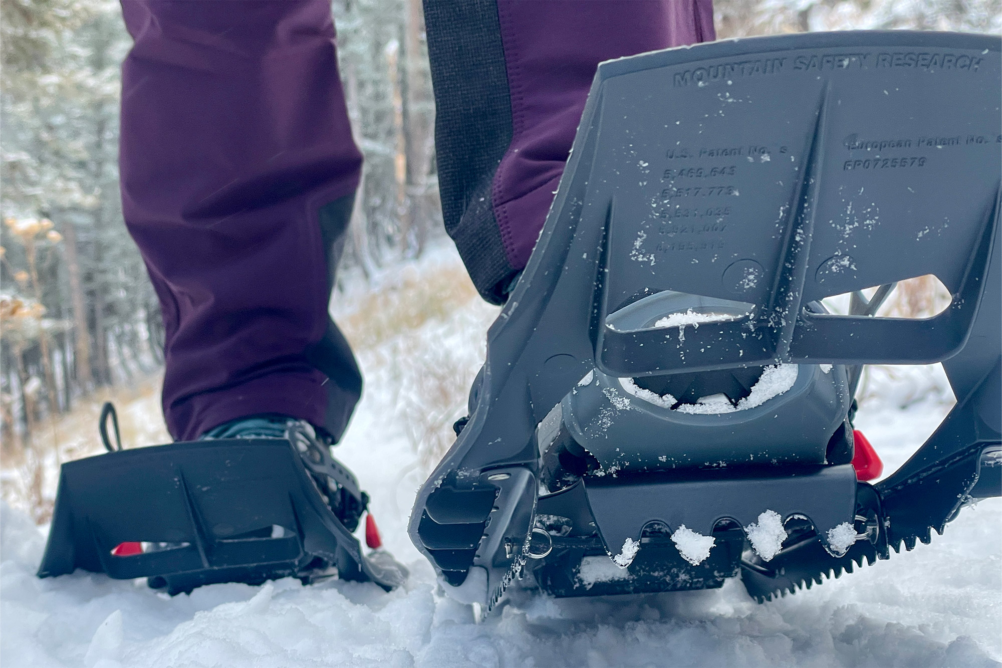 The MSR Evo Trail snowshoes grip packed snow on a forest trail