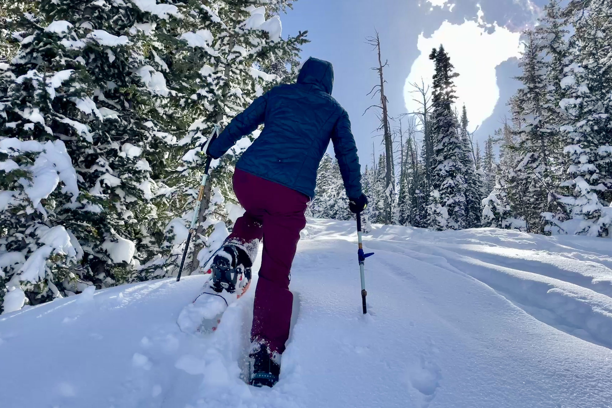 The North Face Chilkat V 400 on snow