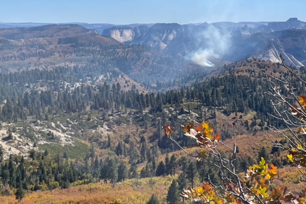 Wildfires Strike Joshua Tree, Zion National Parks Amid Government Shutdown