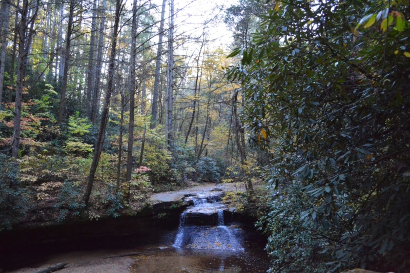 Red River Gorge Visitors Guide: What to See, Where to Camp, and More