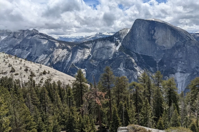 Half Dome with Forest