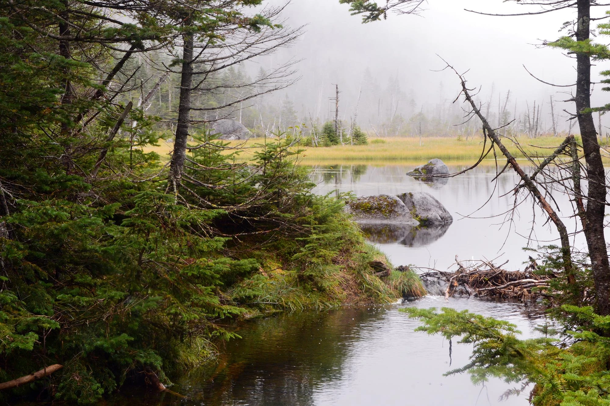 Study: Outdoor Gear Brings Microplastics to Backcountry