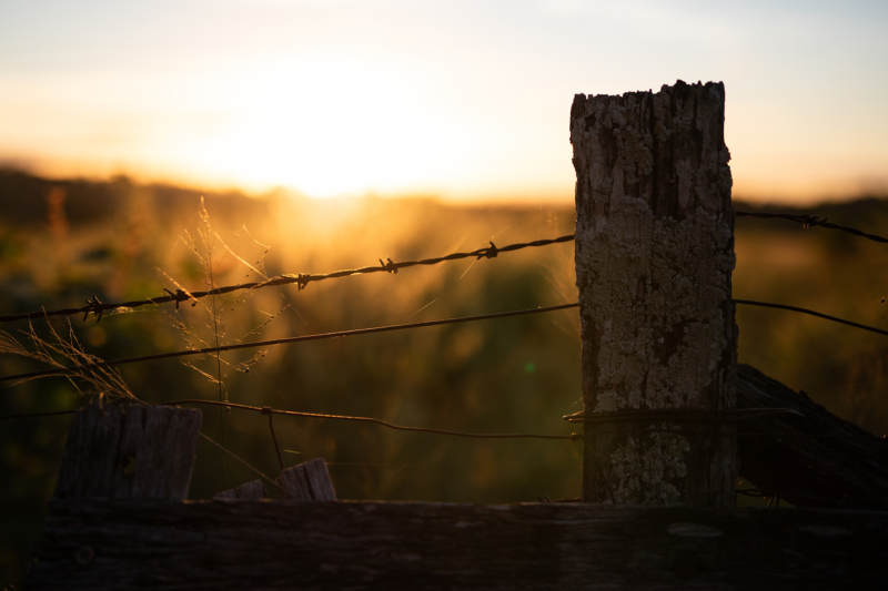 Corner-Crossing Appeal Rejected by Supreme Court, Securing Public Access in the West