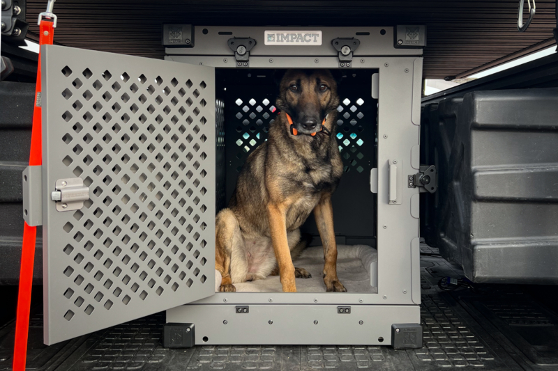 When You Need Real Containment, Not Wire & Wishes: Impact Dog Crates Review