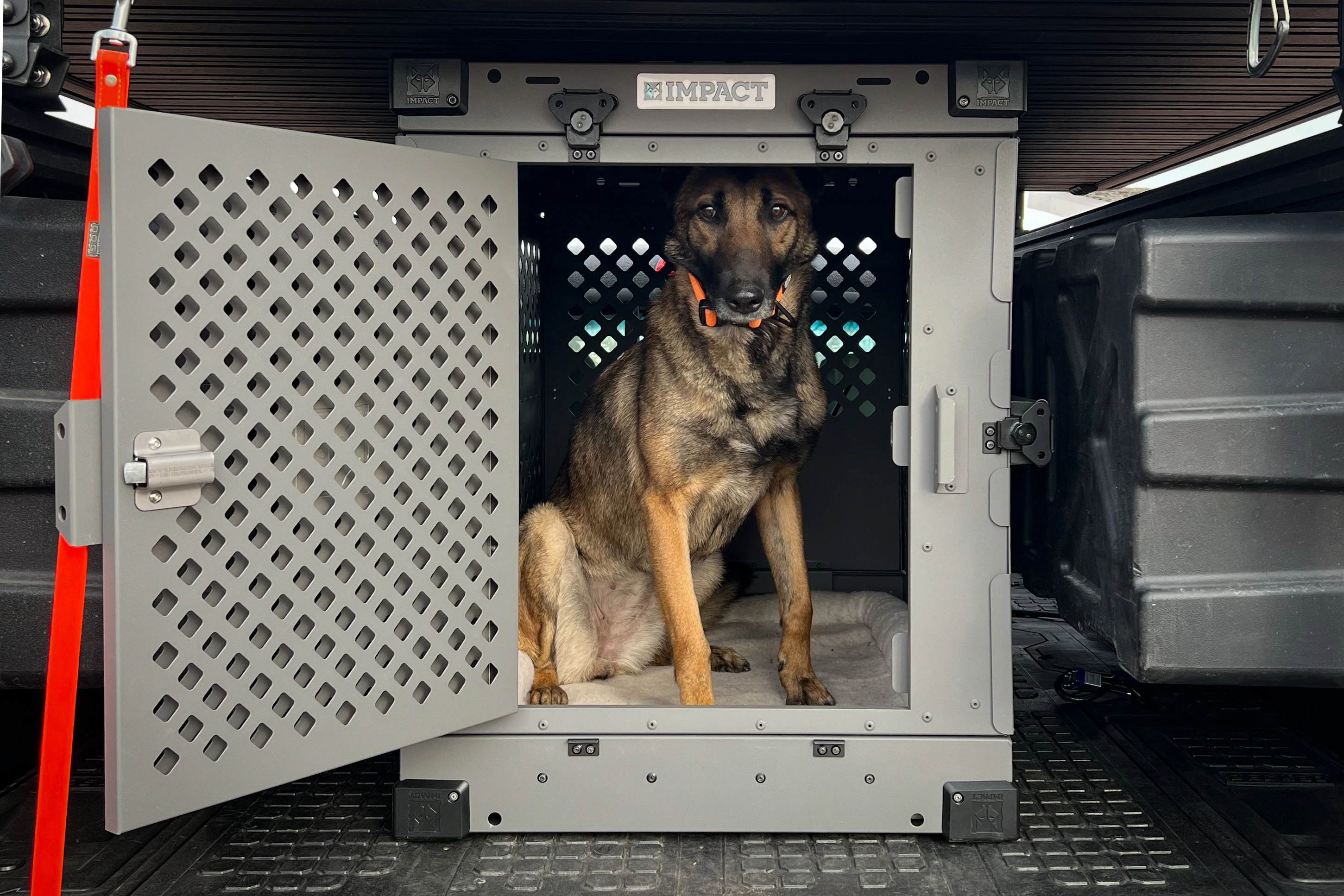 When You Need Real Containment, Not Wire & Wishes: Impact Dog Crates Review
