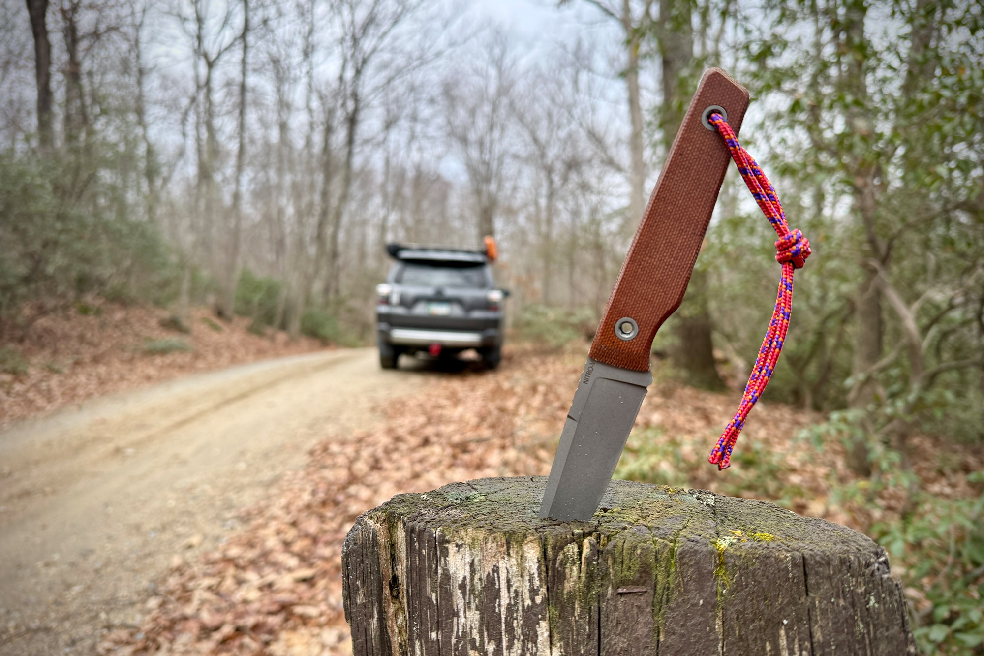 The knife is stabbed into a mossy stump along a forest road, with a parked vehicle blurred in the background