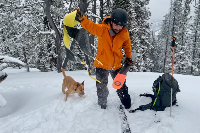 A skier removes climbing skins from the Blizzard Zero G 96 while a dog plays in fresh snow