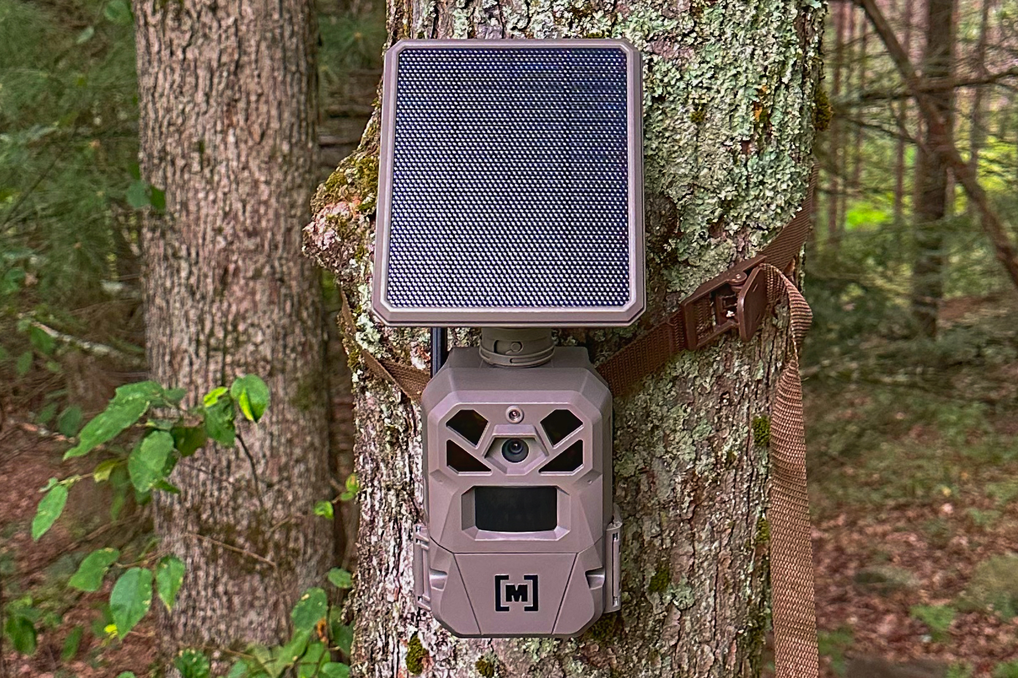 EDGE SOLAR CELLULAR TRAIL CAMERA