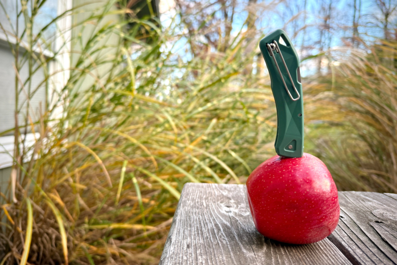 The Gerber LST Ultra stabbed into the top of a red apple on a wooden table, standing upright with grasses in the background