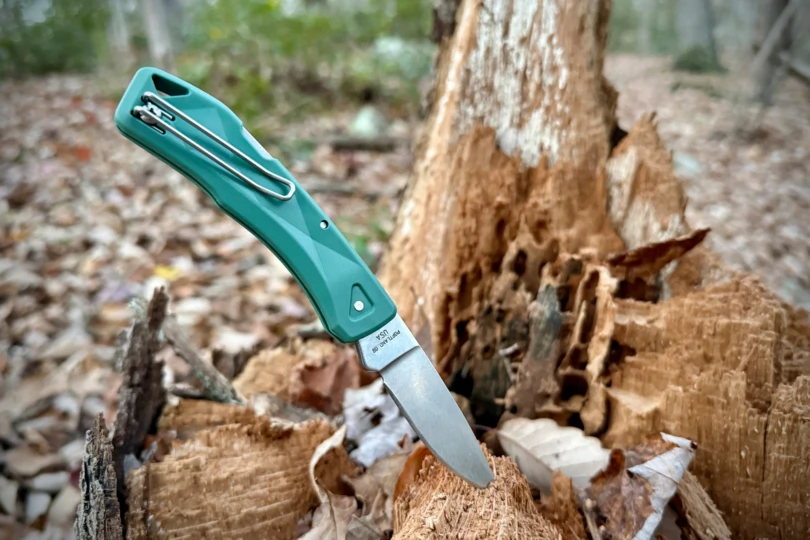 The knife standing with its blade in a decayed log, showing the green handle and pocket clip against a forest floor