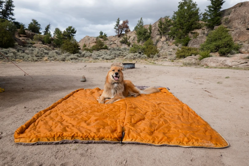 the author's dog lays on the sleeping bag that is spread open wide