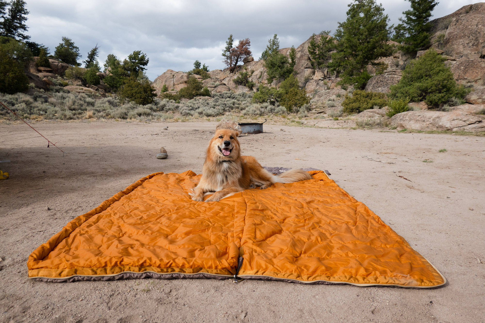 the author's dog lays on the sleeping bag that is spread open wide