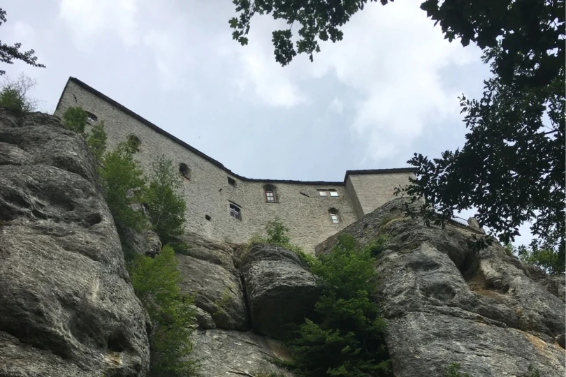 church building surrounded by trees seen from below