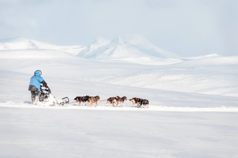 person on dog sled crossing snow