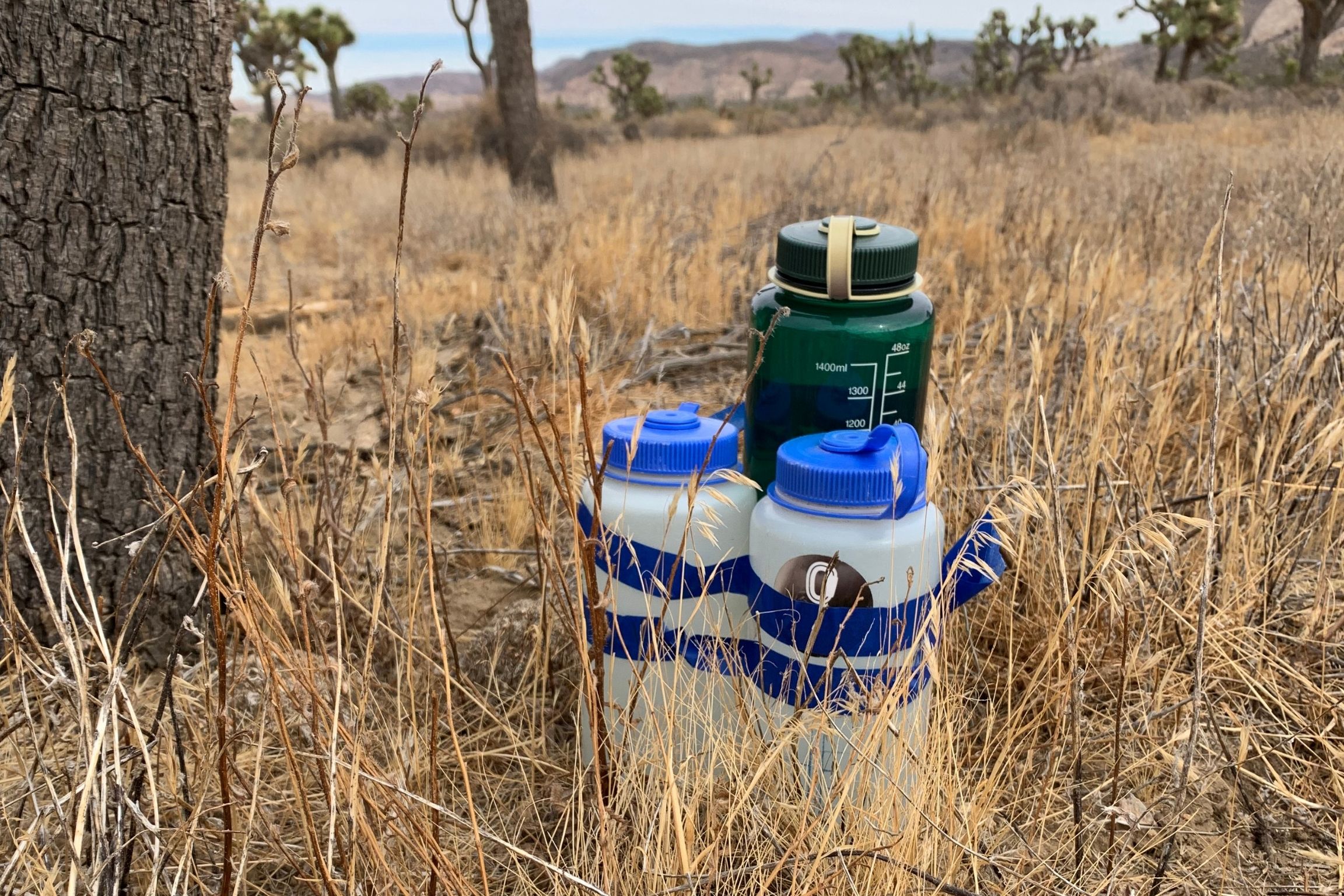 water cache in grass