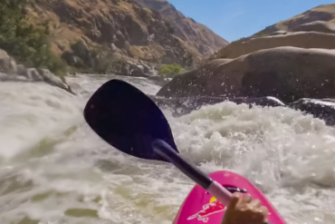 Werner Paddles recall