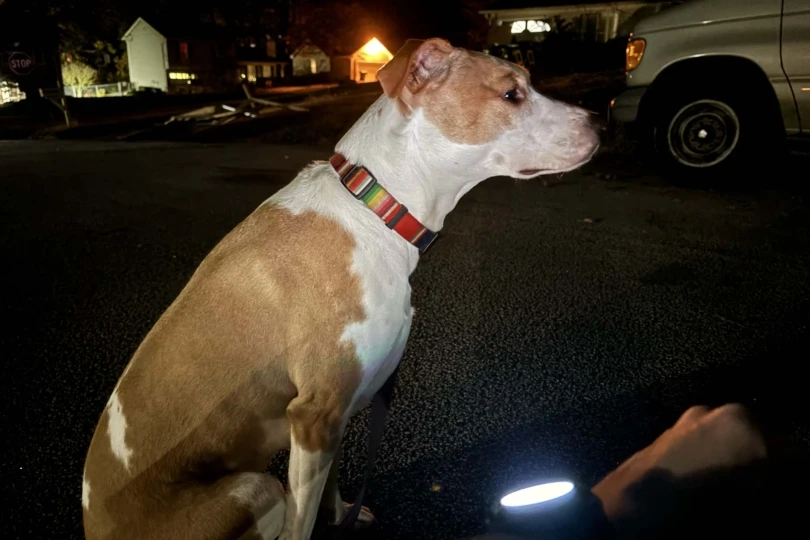 coros pace 4 (flashlight)