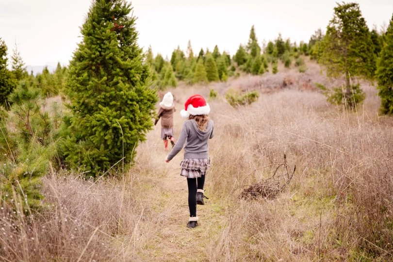 Two,Girls,Walking,At,A,Christmas,Tree,Farm,Looking,For