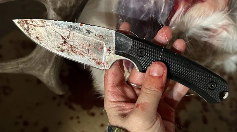skinning knife and deer