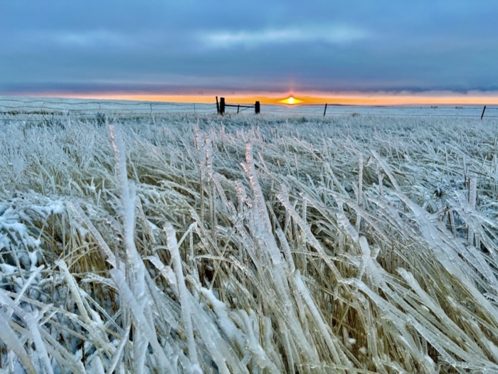 Tailgate Debates: Hunters’ Perspectives