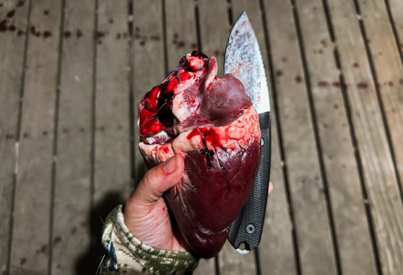 Buck Knife and Heart