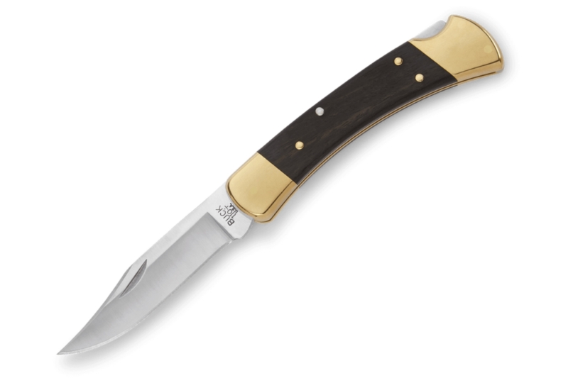 Buck 110 Folding Hunter Knife