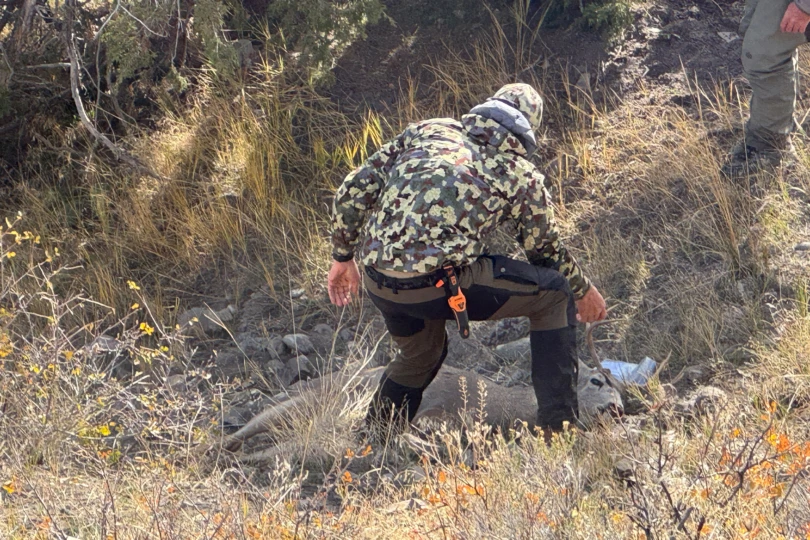 A hunter steps uphill through dry grass while wearing camo pants in rocky terrain