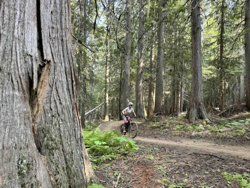 Specialized Turbo Levo SL 2 Pro e-MTB; photo/Dane Tudor