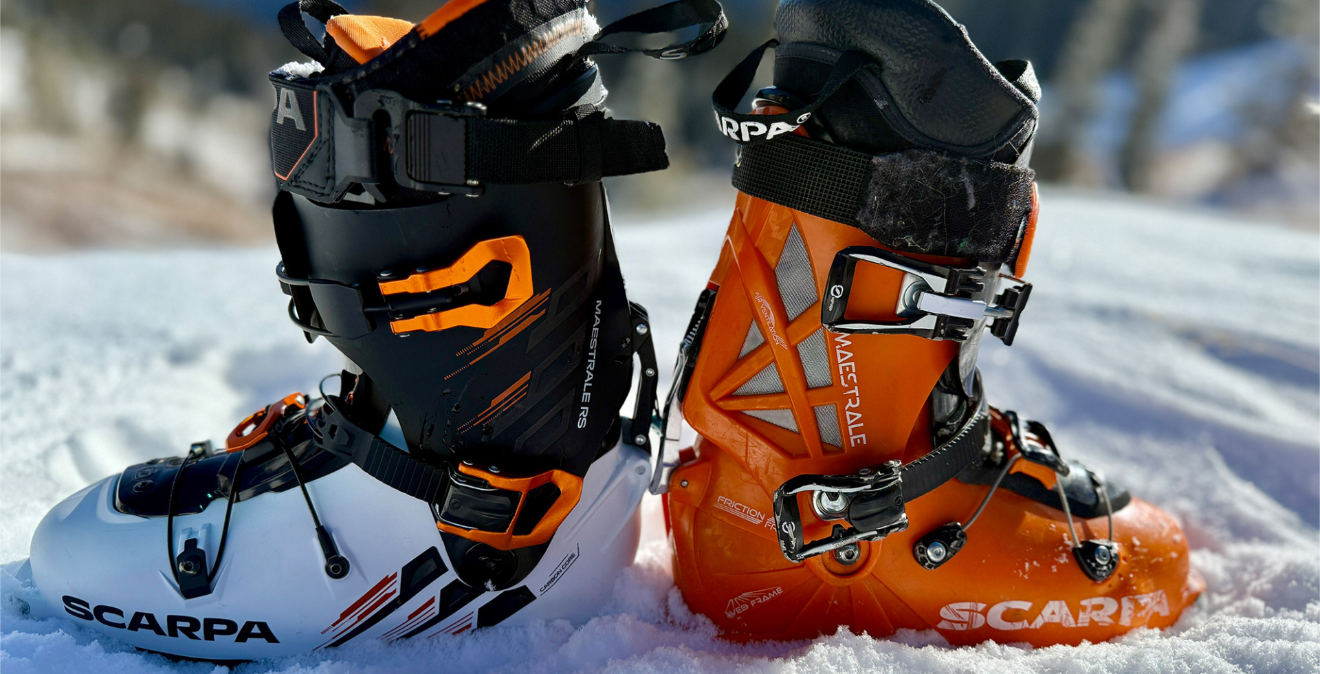 A closer look at the Maestrale RS next to the Maestrale on a sunny slope