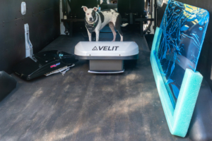 Inside of van with campervan parts ready to install