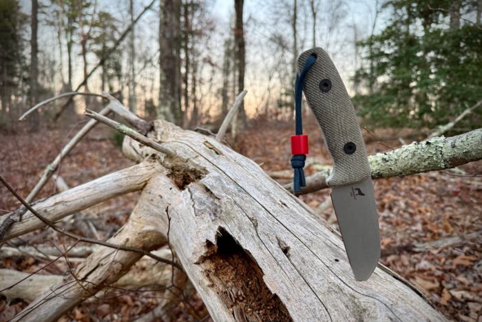 The Reiff blade hangs from a cracked, weathered tree trunk in the woods