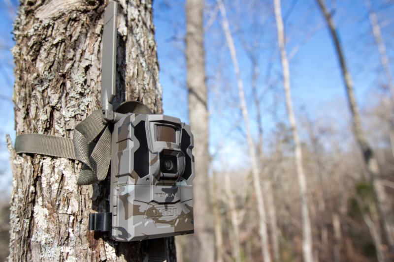 The Biggest Breakthrough in Trail Camera Tech: Tactacam Reveal Ultra Trail Camera Review