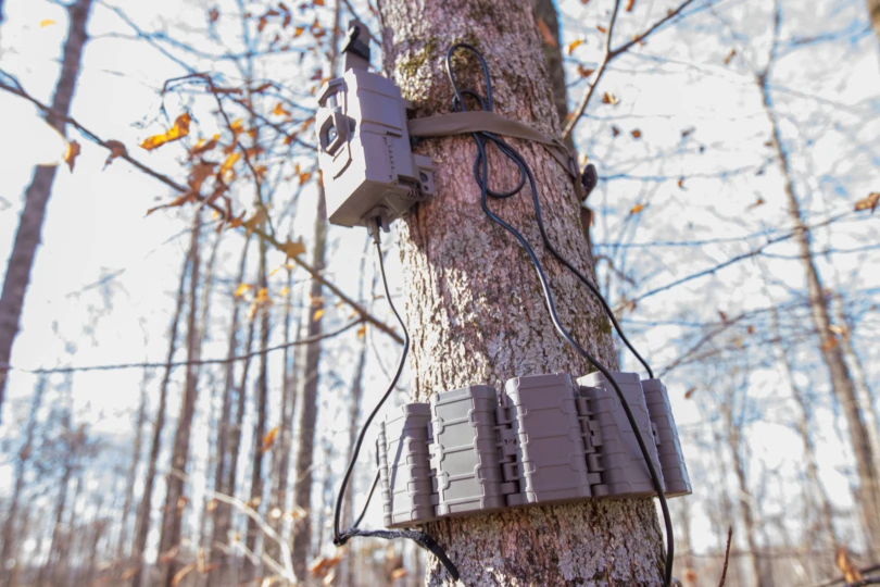 One of the best trail cameras of 2026 on a tree connected to an external battery source.