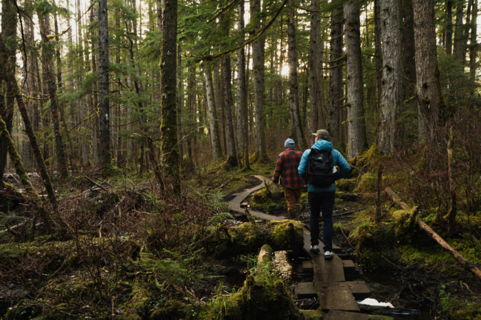 Two people hike through a mossy forest on a narrow boardwalk in Alaska