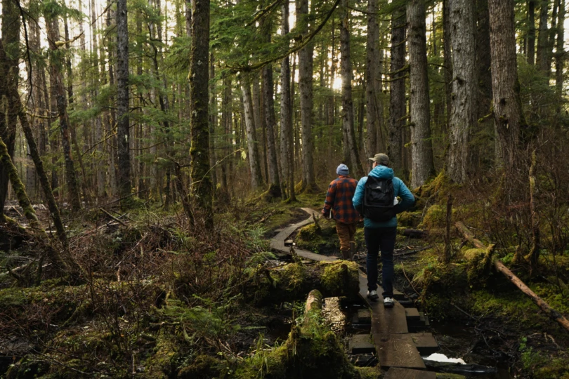 Two people hike through a mossy forest on a narrow boardwalk in Alaska