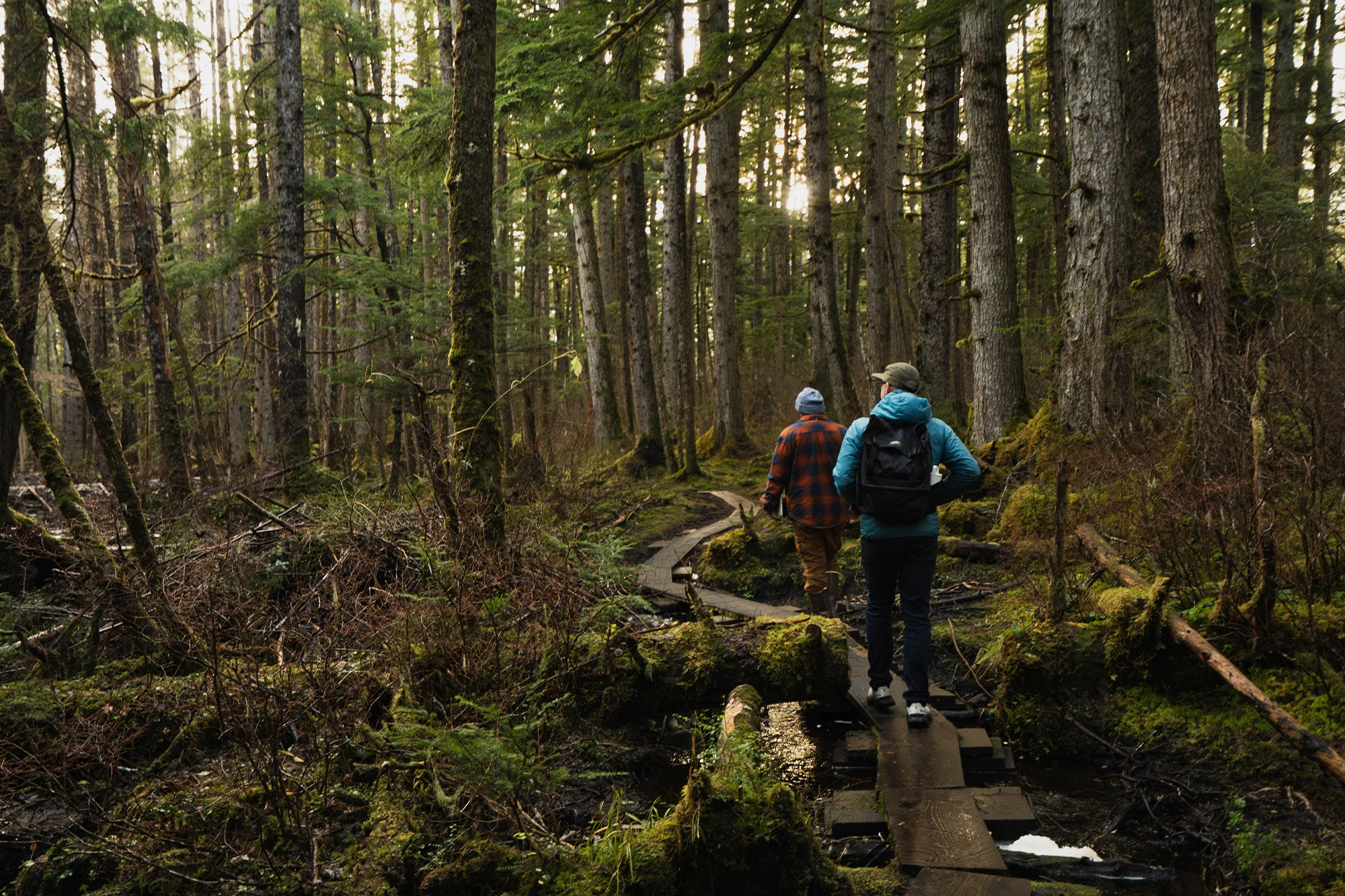 Two people hike through a mossy forest on a narrow boardwalk in Alaska