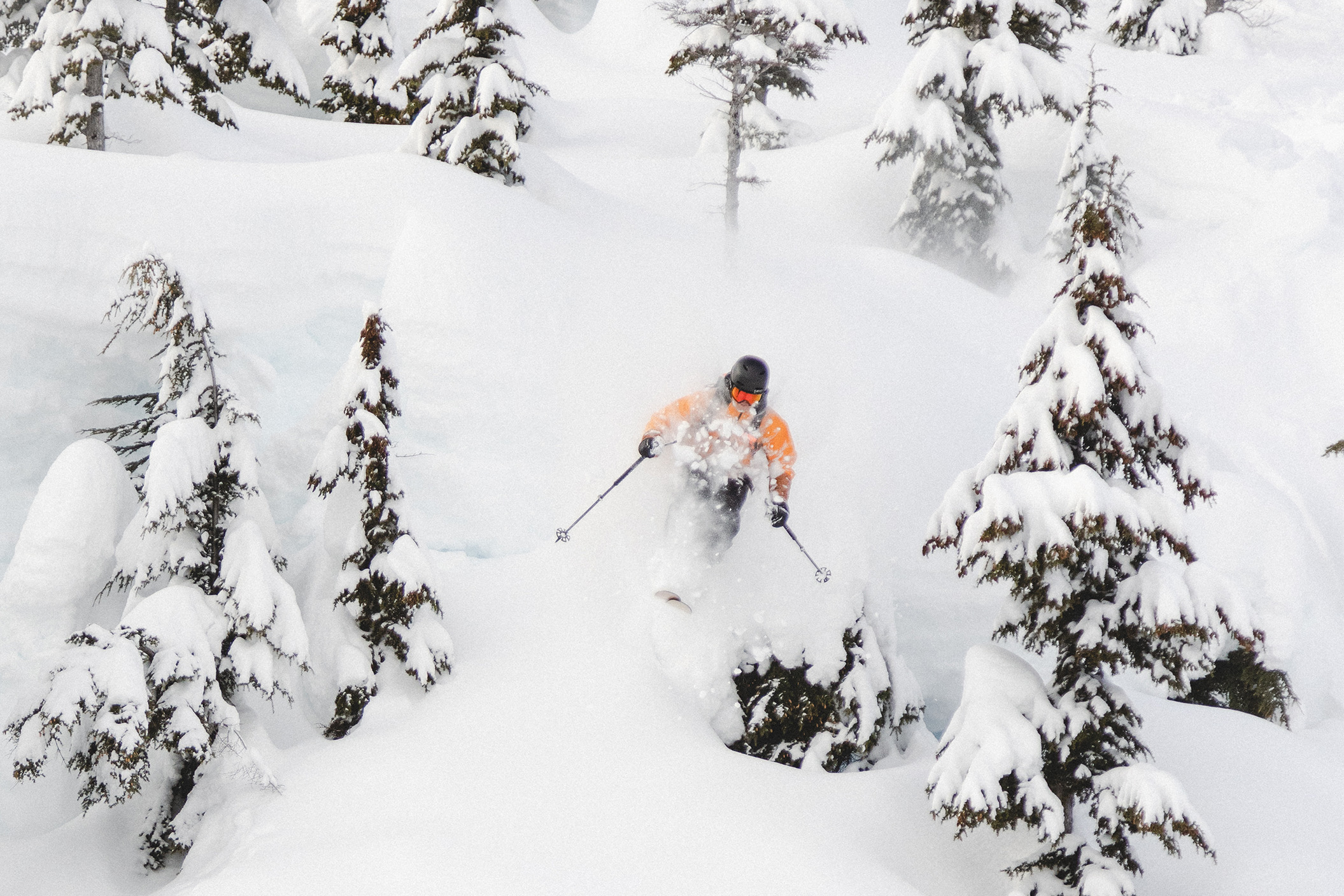 great bear heli skiing women owned operated