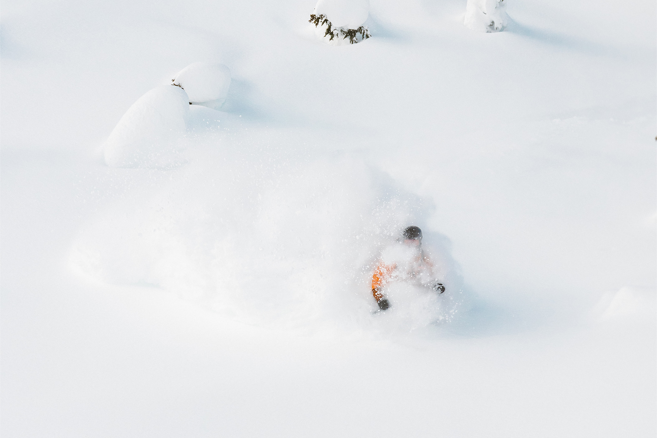 great bear heli skiing women owned operated