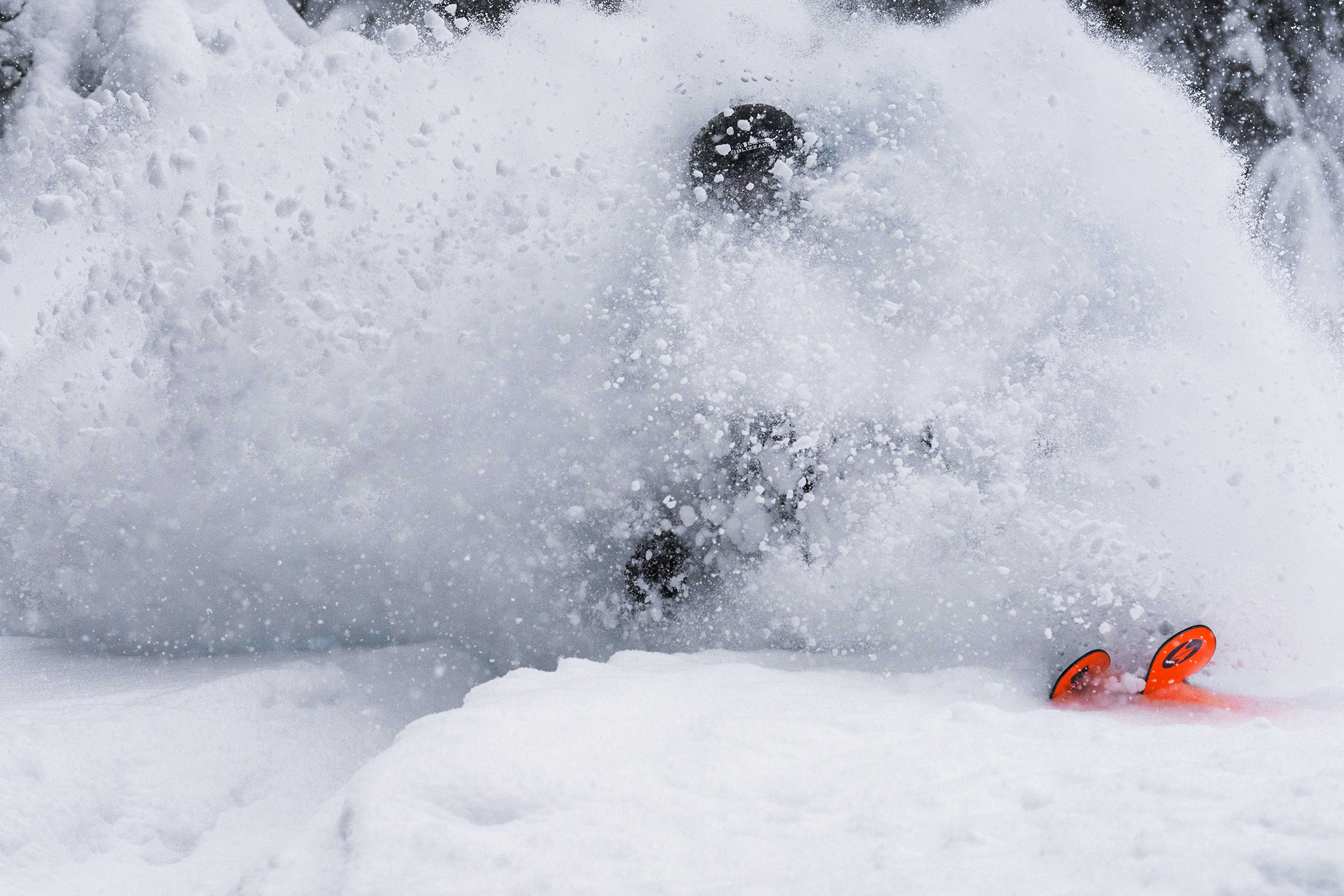 Blizzard canvas collection freeride skis